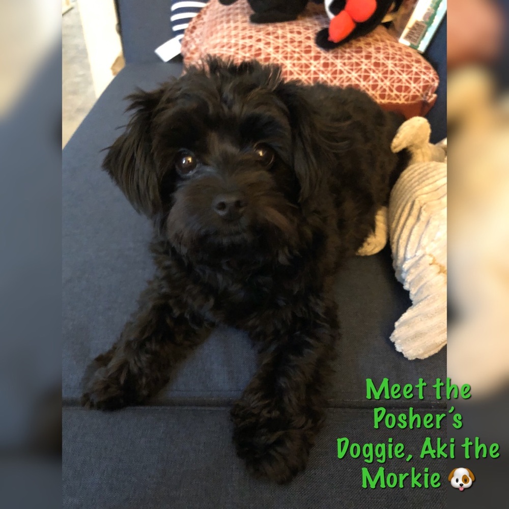 Meet your Posher, Em